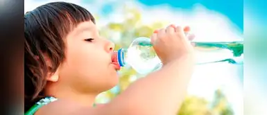 Cuatro opciones de loncheras saludables para el regreso a clases Cuatro opciones de loncheras saludables para el regreso a clases