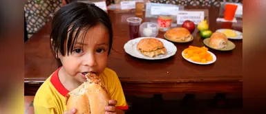 Loncheras saludables: 8 alimentos que debes incluir para potenciar la inteligencia de tus hijos Loncheras saludables: 8 alimentos que debes incluir para potenciar la inteligencia de tus hijos