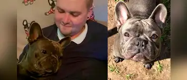 Perrito fallece minutos después de que su dueño perdiera la batalla contra el cáncer Perrito fallece minutos después de que su dueño perdiera la batalla contra el cáncer