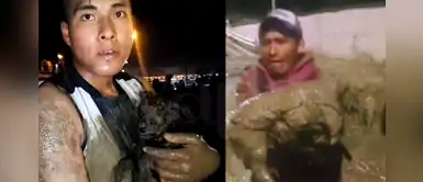 Tacna: Piden donaciones de alimento y medicinas para animalitos víctimas tras paso de huaico Tacna: Piden donaciones de alimento y medicinas para animalitos víctimas tras paso de huaico