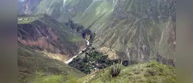 Sangalle: Siéntete viva en el majestuoso recinto natural en el corazón del Valle del Colca Sangalle: Siéntete viva en el majestuoso recinto natural en el corazón del Valle del Colca