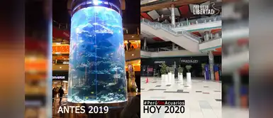 #PerúSinAcuarios: Retiran pecera gigante de centro comercial en Independencia #PerúSinAcuarios: Retiran pecera gigante de centro comercial en Independencia