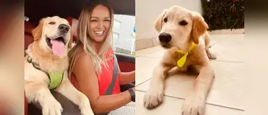 Thor, el hermoso “bebé” de Angie Arizaga que conquistó las redes sociales Thor, el hermoso “bebé” de Angie Arizaga que conquistó las redes sociales