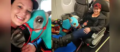 Humana pagó dos asientos en primera clase para viajar junto a su querido pony Humana pagó dos asientos en primera clase para viajar junto a su querido pony