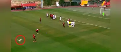 Labrador se coló en un partido de fútbol y los hinchas ovacionaron al ‘nuevo jugador’ Labrador se coló en un partido de fútbol y los hinchas ovacionaron al ‘nuevo jugador’