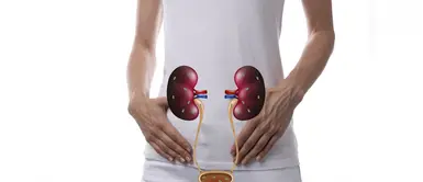 ¿Cómo cuidar tus riñones? 7 cosas que haces y no sabías que lo están dañando ¿Cómo cuidar tus riñones? 7 cosas que haces y no sabías que lo están dañando