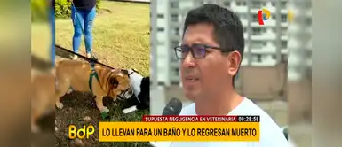 San Miguel: Hombre denuncia a veterinaria que le devolvió a su perro sin vida luego de baño San Miguel: Hombre denuncia a veterinaria que le devolvió a su perro sin vida luego de baño