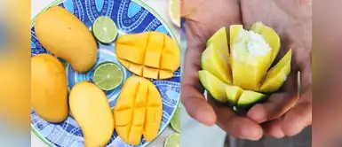 ¿Mango verde con sal o mango maduro con limón? ¡Tienes que probarlo! ¿Mango verde con sal o mango maduro con limón? ¡Tienes que probarlo!