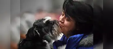 Hong Kong: Autoridades piden a dueños que eviten dar besos y no abandonen a sus mascotas Hong Kong: Autoridades piden a dueños que eviten dar besos y no abandonen a sus mascotas
