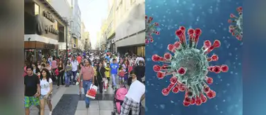 Coronavirus: ¿cuánto tiempo vive en el ambiente? Coronavirus: ¿cuánto tiempo vive en el ambiente?