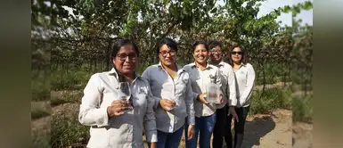 Día Internacional de la Mujer: ¿Conoces a las "damas del pisco"? Día Internacional de la Mujer: ¿Conoces a las "damas del pisco"?