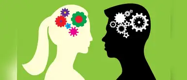 Desmontan teoría sobre la existencia de cerebros femeninos y masculinos Desmontan teoría sobre la existencia de cerebros femeninos y masculinos