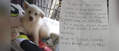 Niño regala a su perro para que no lo maltraten en casa porque “come mucho” Niño regala a su perro para que no lo maltraten en casa porque “come mucho”