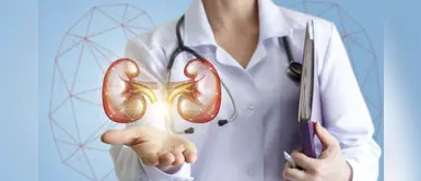 Día Mundial del Riñón: mitos y verdades sobre la enfermedad renal Día Mundial del Riñón: mitos y verdades sobre la enfermedad renal
