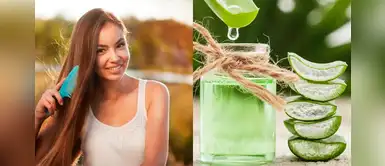 Frenar la caída del cabello es posible si combinas aloe vera, miel y aceite de coco Frenar la caída del cabello es posible si combinas aloe vera, miel y aceite de coco
