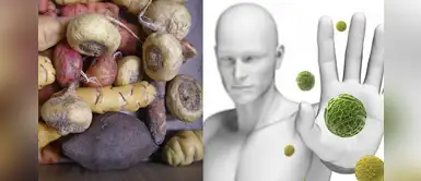 Coronavirus: Conoce los alimentos de gran valor nutricional que brinda la sierra Coronavirus: Conoce los alimentos de gran valor nutricional que brinda la sierra