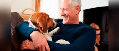 OMS sobre el coronavirus: "Ni las mascotas ni los mosquitos transmiten el Covid-19" OMS sobre el coronavirus: "Ni las mascotas ni los mosquitos transmiten el Covid-19"