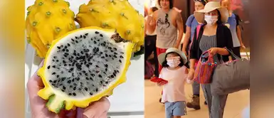 Pitahaya, el superalimento ideal para fortalecer el sistema inmune de los niños y ancianos Pitahaya, el superalimento ideal para fortalecer el sistema inmune de los niños y ancianos