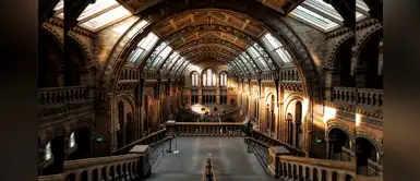 ¿Encerrado en casa? Conoce los 12 museos que puedes visitar desde el sofá ¿Encerrado en casa? Conoce los 12 museos que puedes visitar desde el sofá