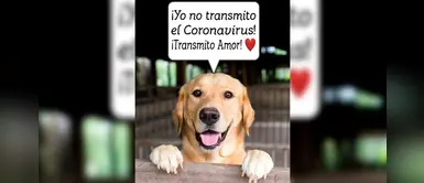 Perro se 'roba' los corazones de miles con poderoso mensaje sobre el coronavirus Perro se 'roba' los corazones de miles con poderoso mensaje sobre el coronavirus
