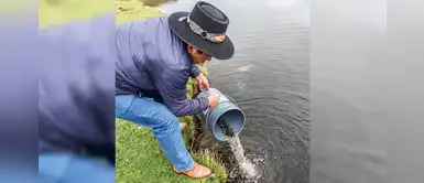 Distrito de Huaquirca, en Apurímac, producirá trucha para combatir la anemia infantil Distrito de Huaquirca, en Apurímac, producirá trucha para combatir la anemia infantil