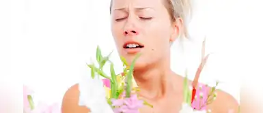 ¿Eres alérgico? Cinco tips recomendables para favorecer la prevención ¿Eres alérgico? Cinco tips recomendables para favorecer la prevención