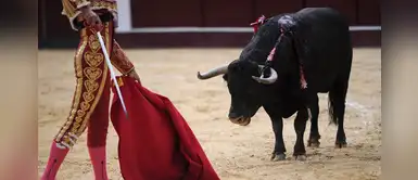El coronavirus obliga a cancelar las corridas de toro y salva la vida de 120 animales El coronavirus obliga a cancelar las corridas de toro y salva la vida de 120 animales