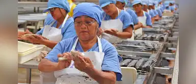 ¿Te pueden obligar a usar tus vacaciones durante el Estado de Emergencia? ¿Te pueden obligar a usar tus vacaciones durante el Estado de Emergencia?