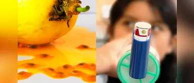 Maracuyá, el superalimento para fortalecer el sistema inmunológico de asmáticos Maracuyá, el superalimento para fortalecer el sistema inmunológico de asmáticos