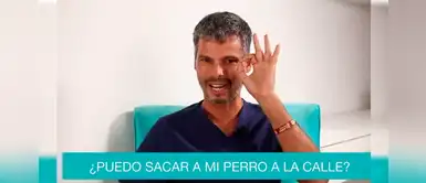 Pancho Cavero brinda consejos sobre el cuidado de las mascotas durante la cuarentena Pancho Cavero brinda consejos sobre el cuidado de las mascotas durante la cuarentena