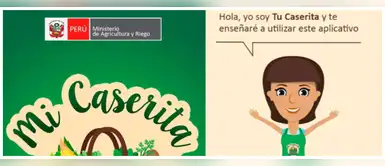 ¿Cómo puedo conocer los precios reales de los productos de primera necesidad? ¡Mira esta app! ¿Cómo puedo conocer los precios reales de los productos de primera necesidad? ¡Mira esta app!