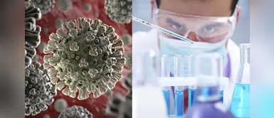 ¡Alerta científica! Coronavirus que inició en China mutó al llegar a Europa ¡Alerta científica! Coronavirus que inició en China mutó al llegar a Europa