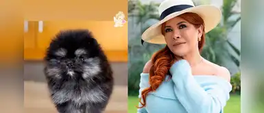 Magaly Medina: "Nuestra querida Queenie se nos fue hoy. Era muy pequeñita y frágil" Magaly Medina: "Nuestra querida Queenie se nos fue hoy. Era muy pequeñita y frágil"