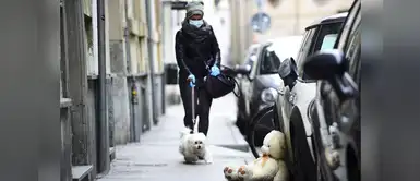 Coronavirus: ¿Cómo cuidar a nuestra mascota durante la cuarentena? Coronavirus: ¿Cómo cuidar a nuestra mascota durante la cuarentena?