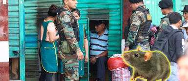 ¡El colmo! No querían acatar la orden de aislamiento hasta que una rata les dio lección ¡El colmo! No querían acatar la orden de aislamiento hasta que una rata les dio lección