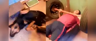 Perro hace ejercicios junto a su familia durante la cuarentena por el coronavirus Perro hace ejercicios junto a su familia durante la cuarentena por el coronavirus