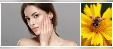 La picadura de abeja es el increíble botox de las celebrities La picadura de abeja es el increíble botox de las celebrities