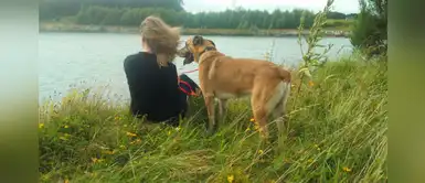 Perro abandonado logra ser adoptado por una turista alemana que trabajaba en Argentina Perro abandonado logra ser adoptado por una turista alemana que trabajaba en Argentina
