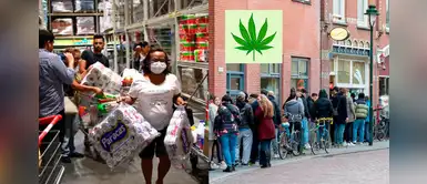 En Holanda las compras de pánico son de marihuana no de papel higiénico En Holanda las compras de pánico son de marihuana no de papel higiénico