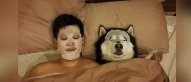 Coronavirus: Consejos para pasar tiempo de calidad con mascota durante la cuarentena Coronavirus: Consejos para pasar tiempo de calidad con mascota durante la cuarentena