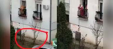 Dos ancianas sacaron a pasear a sus chihuahuas por la ventana para evitar infectarse Dos ancianas sacaron a pasear a sus chihuahuas por la ventana para evitar infectarse