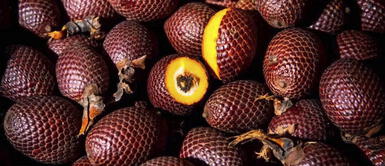 Coronavirus: Aguaje, la fruta amazónica para fortalecer tu sistema inmunológico Coronavirus: Aguaje, la fruta amazónica para fortalecer tu sistema inmunológico