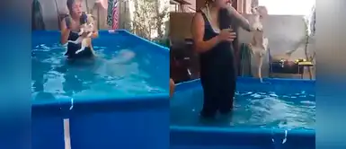 Denuncian a mujer por ahogar a su gato en una piscina frente a unos niños Denuncian a mujer por ahogar a su gato en una piscina frente a unos niños