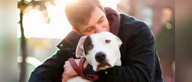 Coronavirus en Perú: 7 razones para no abandonar a nuestras mascotas en la cuarentena Coronavirus en Perú: 7 razones para no abandonar a nuestras mascotas en la cuarentena