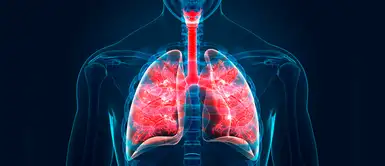 Video de realidad virtual revela cómo el Covid-19 daña los pulmones de una persona sana Video de realidad virtual revela cómo el Covid-19 daña los pulmones de una persona sana