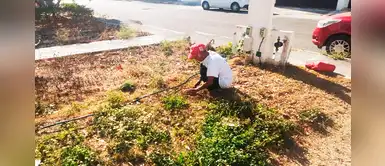 Coronavirus: Abuelito invidente arriesga su vida al salir y pedir trabajo para comer Coronavirus: Abuelito invidente arriesga su vida al salir y pedir trabajo para comer