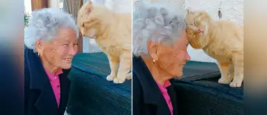 Abuelita se encontró tras cuatro años con su gato, quien sobrevivió a un terremoto Abuelita se encontró tras cuatro años con su gato, quien sobrevivió a un terremoto