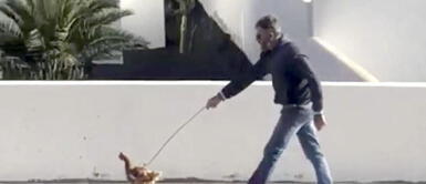 Coronavirus: Hombre sale a pasear con su gallina durante la cuarentena y es denunciado Coronavirus: Hombre sale a pasear con su gallina durante la cuarentena y es denunciado