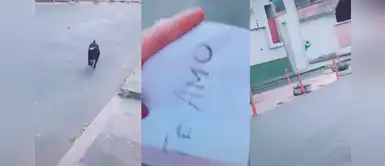 Joven utiliza a su perro para decirle "te amo" a su novia que vive frente a su casa Joven utiliza a su perro para decirle "te amo" a su novia que vive frente a su casa