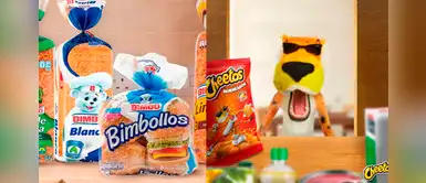 ‘Osito Bimbo’ y ‘Chester’ de Cheetos no aparecerán más en envases y envolturas por nueva norma ‘Osito Bimbo’ y ‘Chester’ de Cheetos no aparecerán más en envases y envolturas por nueva norma